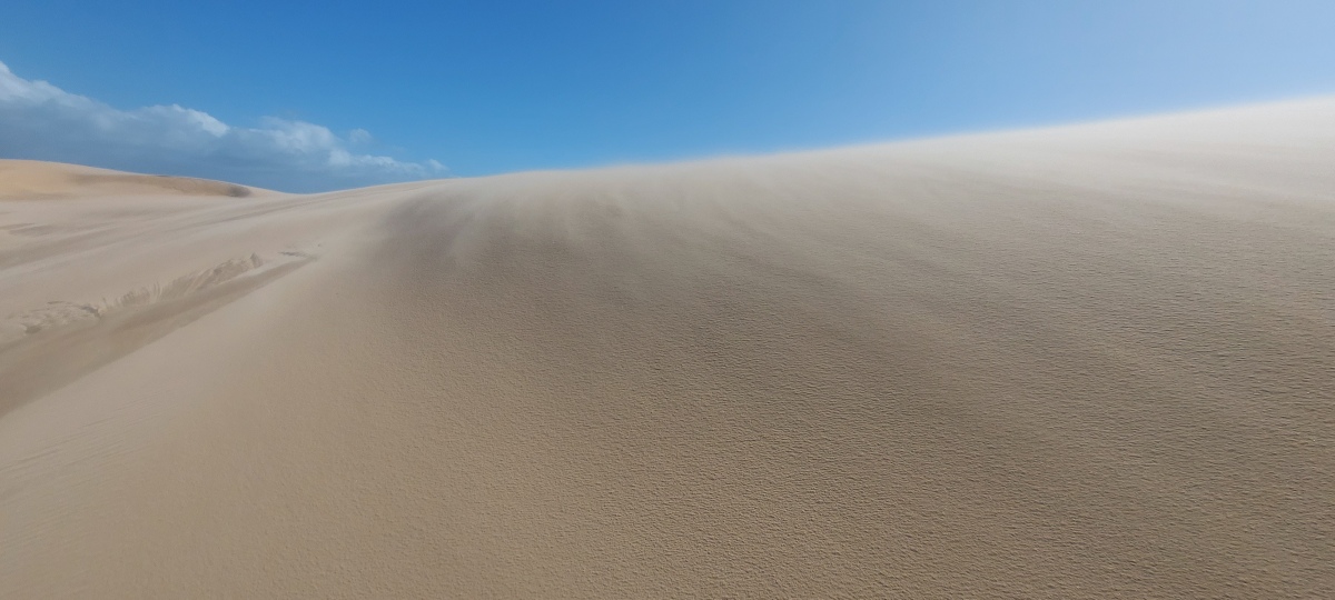 sand dune winds